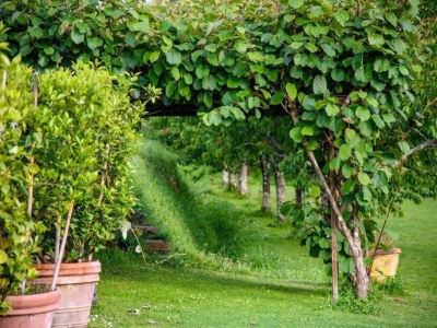 Holiday house Capannori Verspieltes Cottage - Environment photo 30