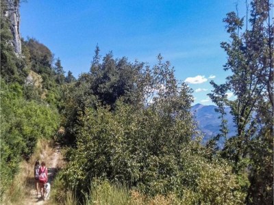 Holiday house Capannori Verspieltes Cottage - Environment photo 31