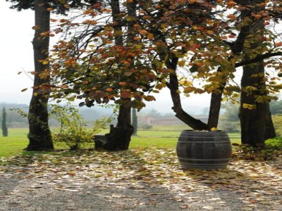 Holiday house Capannori Verspieltes Cottage - Environment photo 35