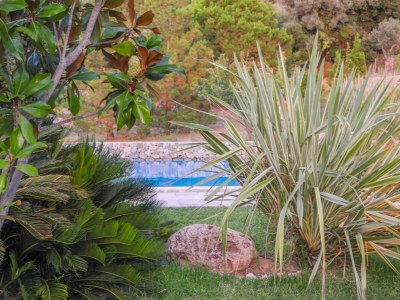 Holiday house Son Beltran villa with Pool - Outdoor photo 8