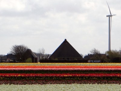 Holiday apartment Engelbracht - Environment photo 16