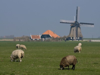 Holiday apartment Engelbracht - Environment photo 18