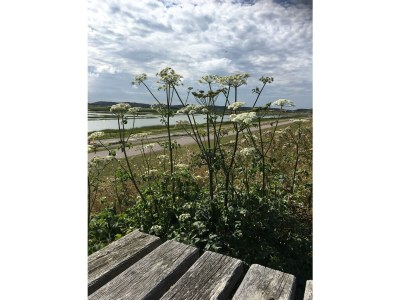 Holiday apartment Engelbracht - Environment photo 20