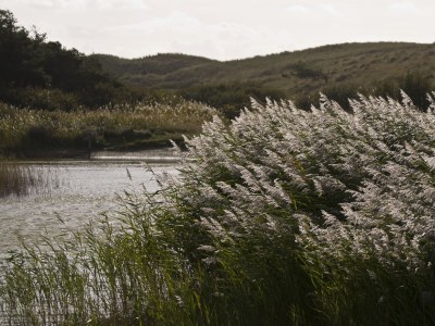 Holiday apartment Engelbracht - Environment photo 21
