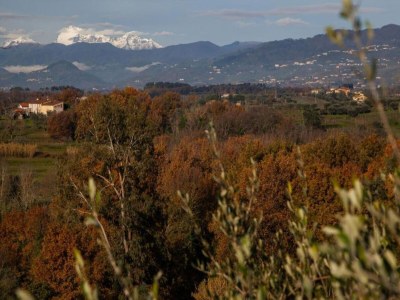 Cottage Charming Mansion in Lucca - Environment photo 21