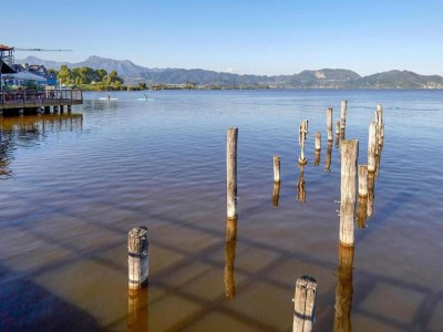 Cottage Charming Mansion in Lucca - Environment photo 22