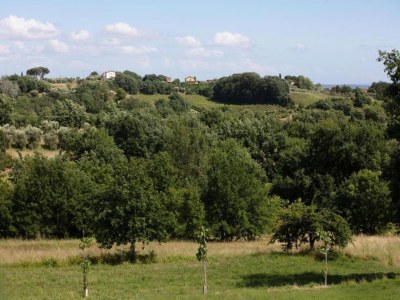 Cottage Charming Mansion in Lucca - Environment photo 32