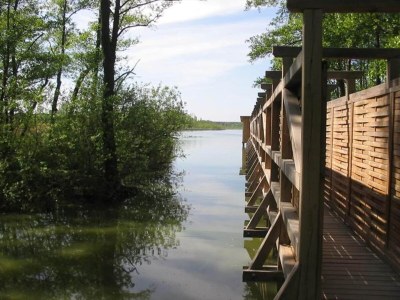 Holiday house Ferienhaus am Vordersee, Dobbrikow - Environment photo 47