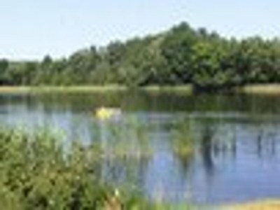 Holiday house Ferienhaus am Vordersee, Dobbrikow - Environment photo 48