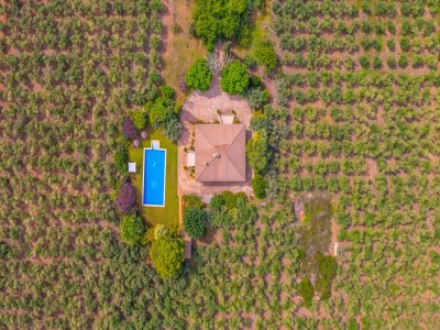 Villa Ca'n Berguins mit Pool- und Bergblick - Outdoor photo 15