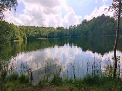 Bungalow Bungalows am Vordersee, Dobbrikow - Environment photo 12