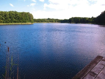 Bungalow Bungalows am Vordersee, Dobbrikow - Environment photo 27