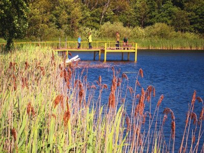 Bungalow Bungalows am Vordersee, Dobbrikow - Environment photo 29