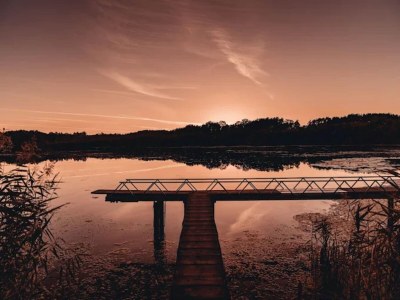 Bungalow Bungalows am Vordersee, Dobbrikow - Environment photo 30