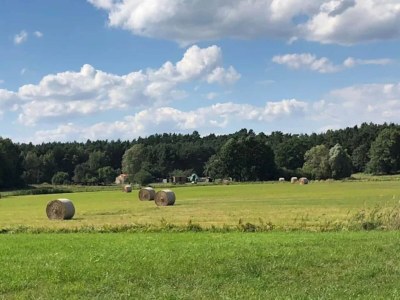 Bungalow Bungalows am Vordersee, Dobbrikow - Environment photo 32