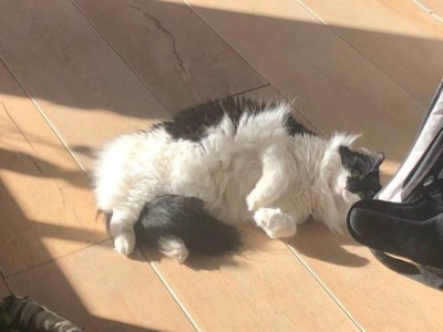 Bungalow Bungalows am Vordersee, Dobbrikow - Outdoor photo 36