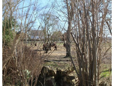 Bungalow Ferienhaus in Rethwisch - Environment photo 24