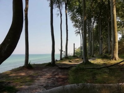 Bungalow Ferienhaus in Rethwisch - Environment photo 26