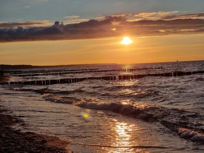 Bungalow Ferienhaus in Rethwisch - Environment photo 36