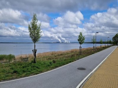 House boat Hausboot am Barwälder See - Environment photo 54