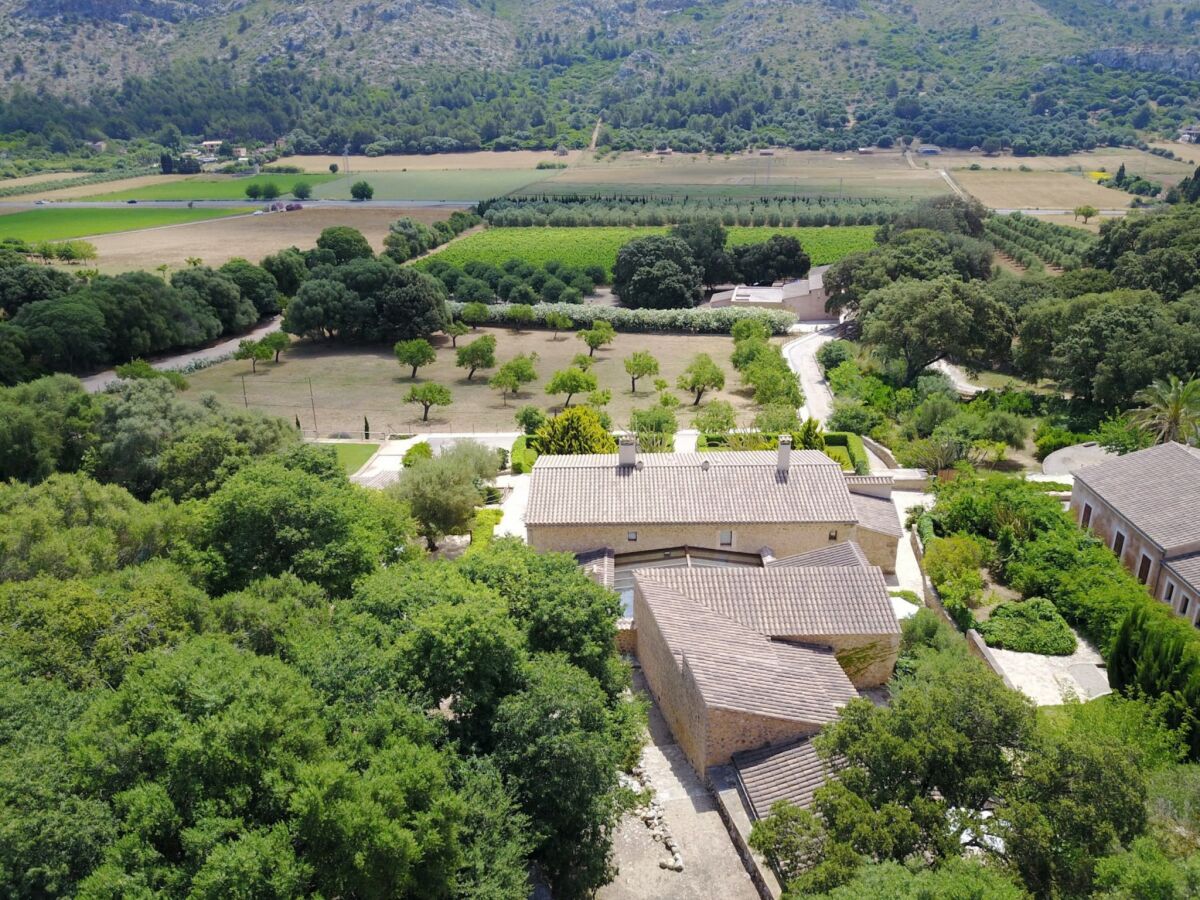Villa Son Simo Vell Pool & Vineyard Views