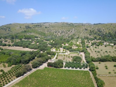 Villa Son Simo Vell Pool & Vineyard Views - Outdoor photo 6