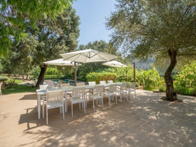 Villa Son Simo Vell Pool & Vineyard Views - Outdoor photo 24