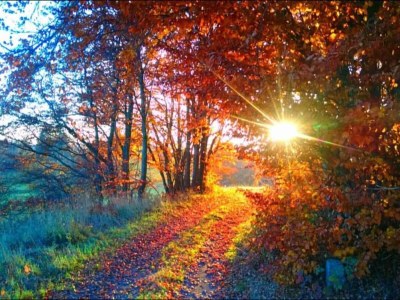 Apartment Geräumiger Kurzurlaub mit Seeblick - Environment photo 18