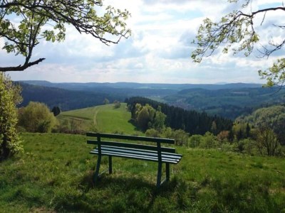 Apartment Geräumiger Kurzurlaub mit Seeblick - Environment photo 19