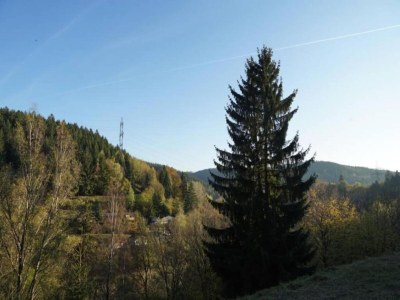 Apartment Geräumiger Kurzurlaub mit Seeblick - Environment photo 20