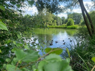 Apartment Geräumiger Kurzurlaub mit Seeblick - Environment photo 21
