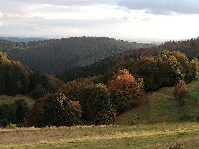 Apartment Geräumiger Kurzurlaub mit Seeblick - Environment photo 22