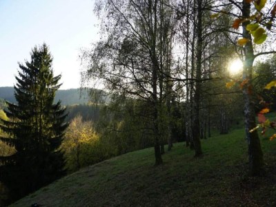 Apartment Geräumiger Kurzurlaub mit Seeblick - Environment photo 25