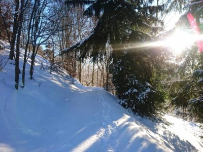 Apartment Geräumiger Kurzurlaub mit Seeblick - Environment photo 26