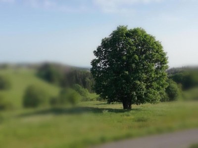 Apartment Geräumiger Kurzurlaub mit Seeblick - Environment photo 36