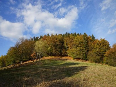 Apartment Geräumiger Kurzurlaub mit Seeblick - Environment photo 38