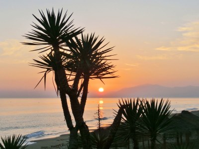 Apartment Coronado. - Environment photo 13