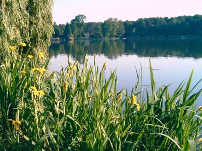 Holiday house Teupitz Lakeside Escape - Environment photo 25