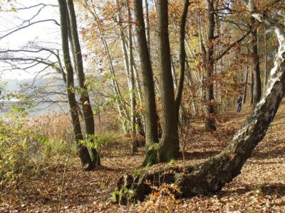 Holiday house Teupitz Lakeside Escape - Environment photo 32