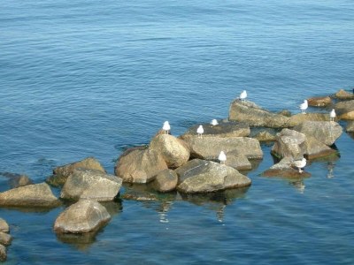 House boat Schwimmender Komfort in Peenemünde - Environment photo 27