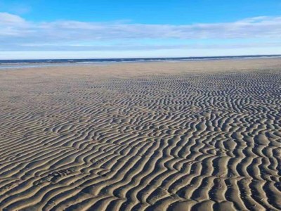 House boat Schwimmender Komfort in Peenemünde - Environment photo 35