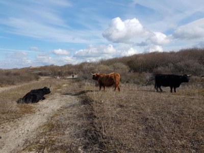 Apartment Harbor Retreat, Scheveningen - Environment photo 28