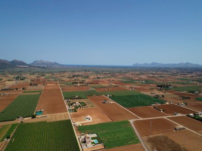 Villa Es Moli d'en Sion mit privatem Pool - Environment photo 39
