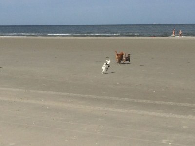 Holiday house Susi - Environment photo 16