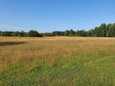 Apartment Moderne Wohnung mit Terrasse. - Environment photo 19
