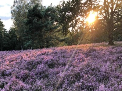 Apartment Moderne Wohnung mit Terrasse. - Environment photo 20