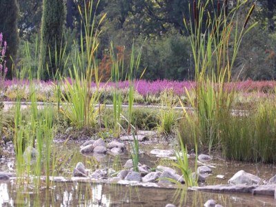 Apartment Moderne Wohnung mit Terrasse. - Environment photo 22