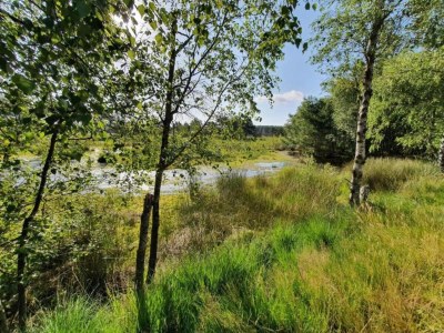 Apartment Ferienwohnung für vier Personen - Environment photo 21