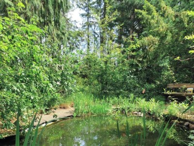 Apartment Ferienwohnung für vier Personen - Environment photo 23