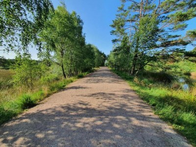 Apartment Ferienwohnung für vier Personen - Environment photo 24